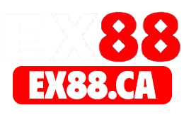 eex884.com